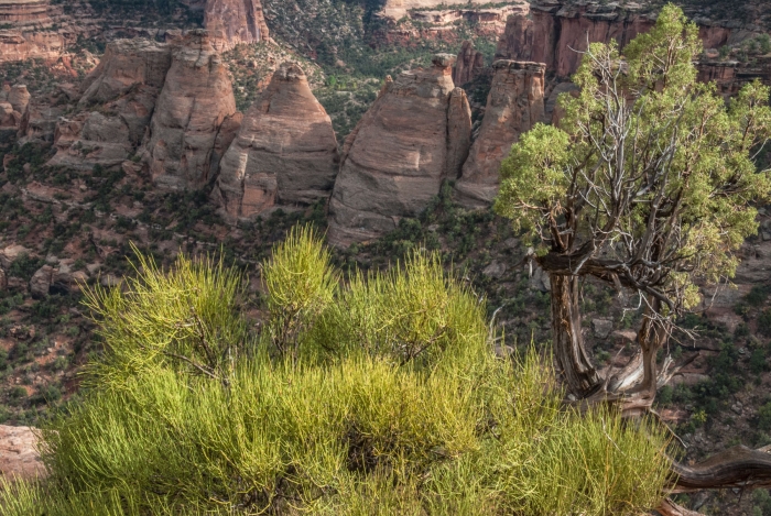 The Coke Ovens