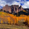 Big Mesa Glory +
