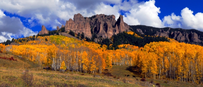 Big Mesa Glory +