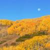 Moonset over Dixie National Forest +