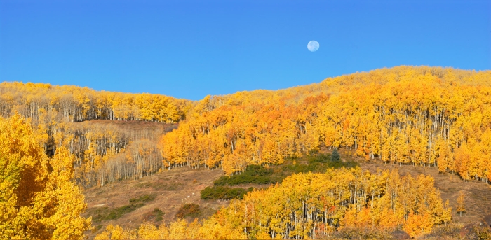 Moonset over Dixie National Forest +