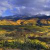 West Elk Mountains +