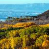 Dixie National Forest