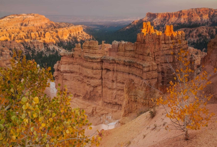 Late Afternoon at Bryce +
