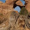 Double Arch