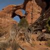 Double Arch