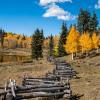Beaver Lake Boles +