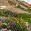 On Red Mountain #3