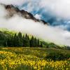 Cloudy Gothic