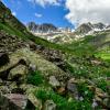 Columbines and American Peak +
