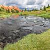 Grey Copper Gulch +
