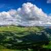 Black Bear Panoramic +