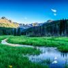 Evening in the Meadow +