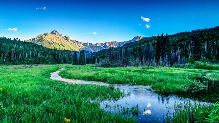 Evening in the Meadow +