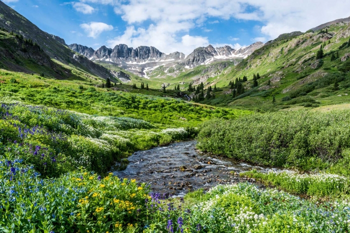 Lake Fork of The Gunnison +