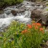 Below the Falls