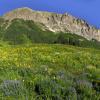 Gothic Mountain Panoramic +