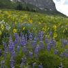 Gothic Mountain
