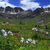 Columbine Country +