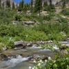 "The Creek Runs Through It"