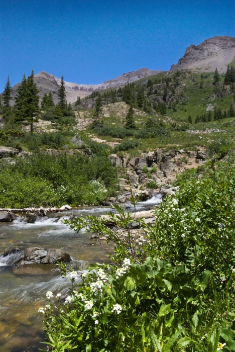 Sneffels Creek
