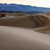 Ripples in the Sand