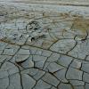 Sunset on "Mud Flats"