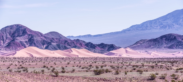 Ibex Dunes