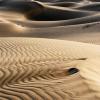 Morning Light at Mesquite Dunes
