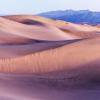 Morning Light at Mesquite Dunes