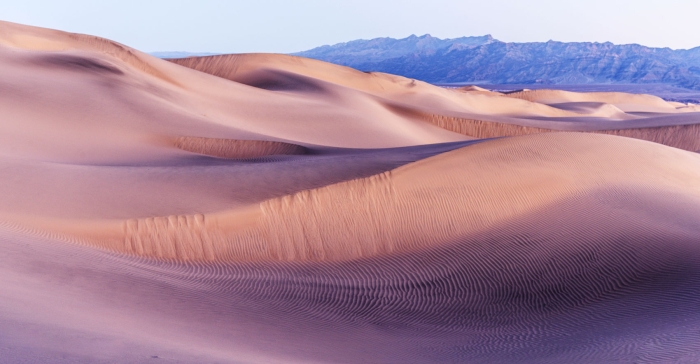 Morning Light at Mesquite Dunes
