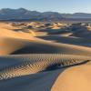 Mesquite Dunes Morning