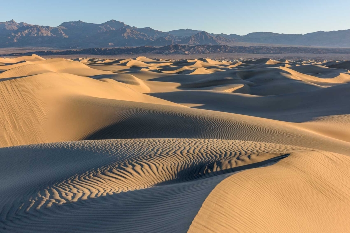 Mesquite Dunes Morning