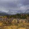 The Corral +