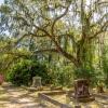 Of Spanish Moss, Blooming Azaleas and Yesterday