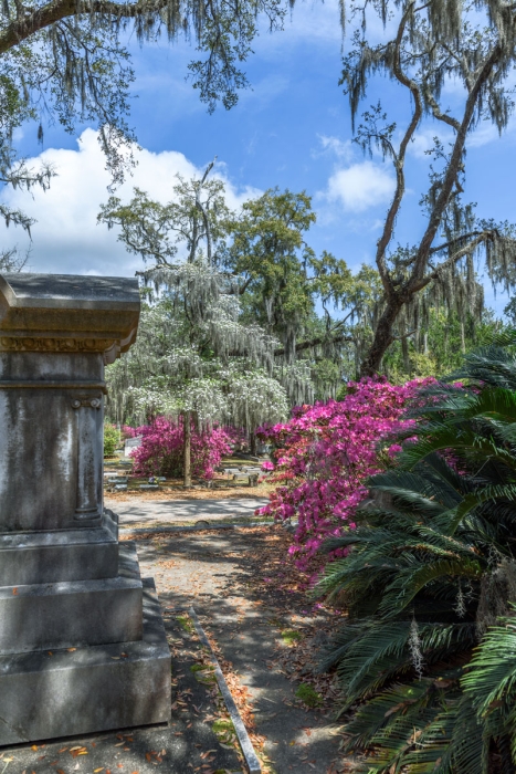 Springtime in Bonaventure