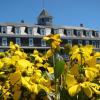 The Island Inn
