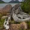 Jordan Pond & Bubble Mountains