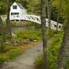 The Foot Bridge