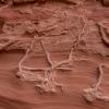 Mountain Sheep Canyon