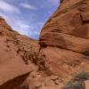 Mountain Sheep Canyon