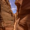 Mountain Sheep Canyon