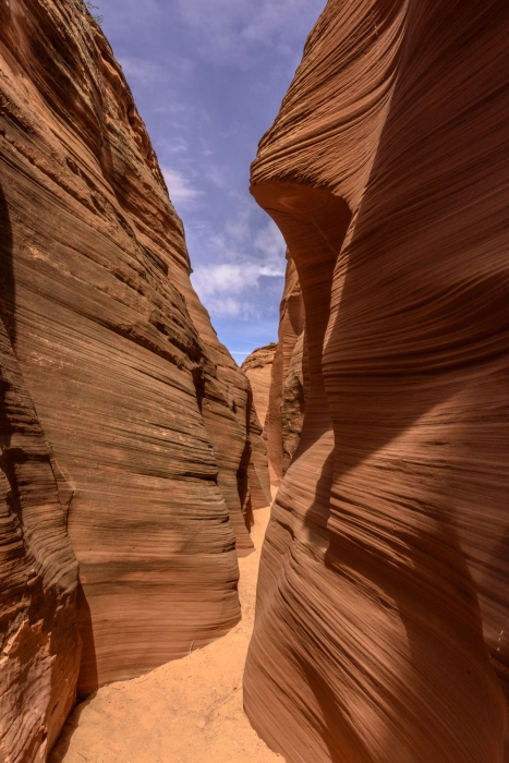 Mountain Sheep Canyon