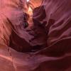 Canyon X