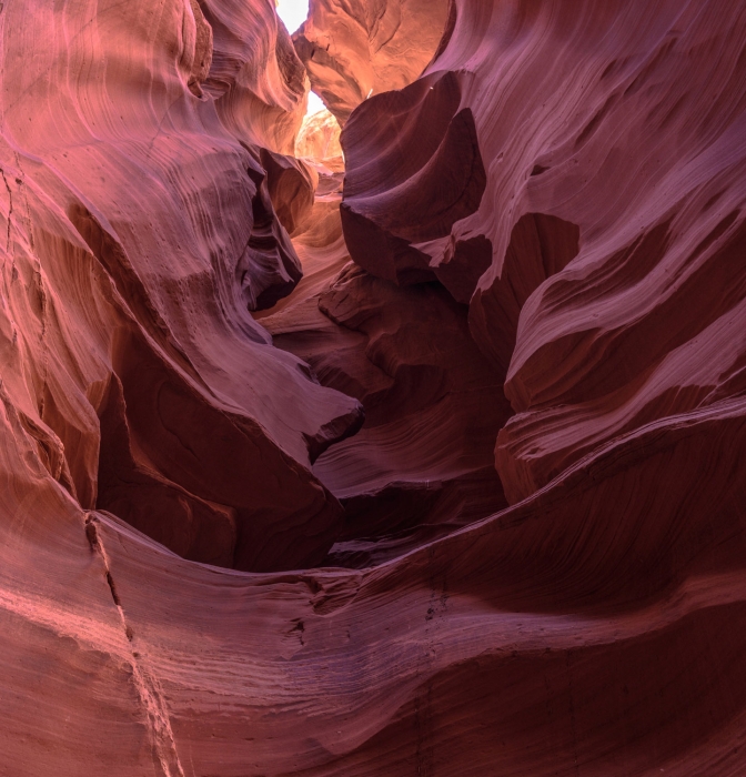 Canyon X
