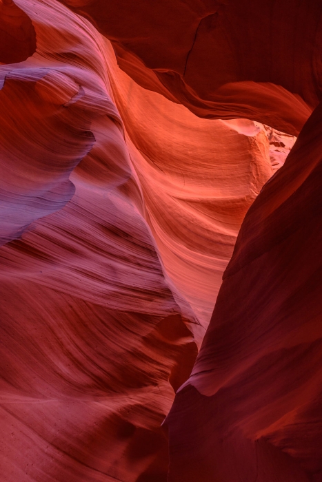Canyon X