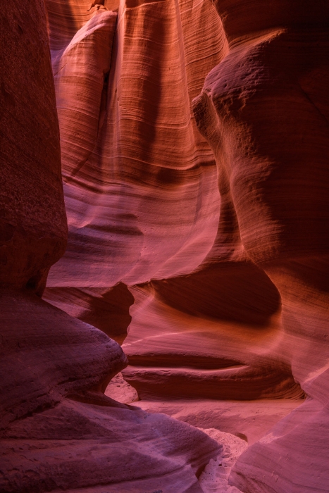 Canyon X