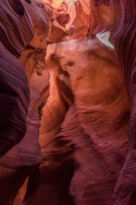 Canyon X