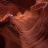 Canyon X