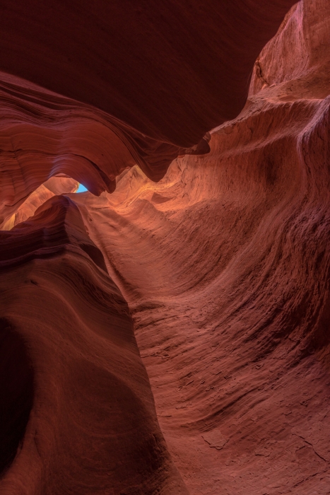 Canyon X